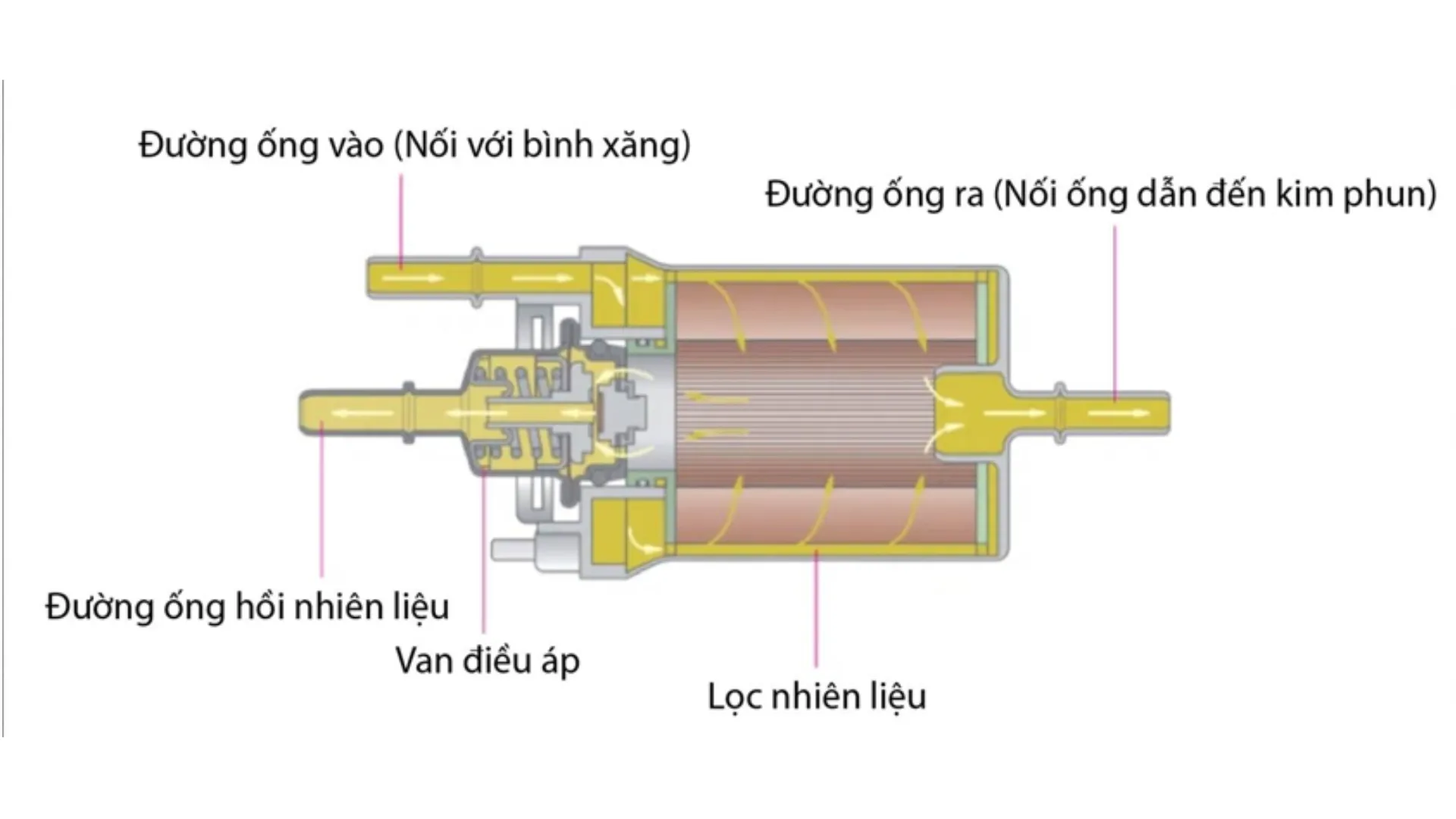 Hình ảnh vị trí lọc xăng ở trong động cơ có sử dụng phun xăng điện tử
