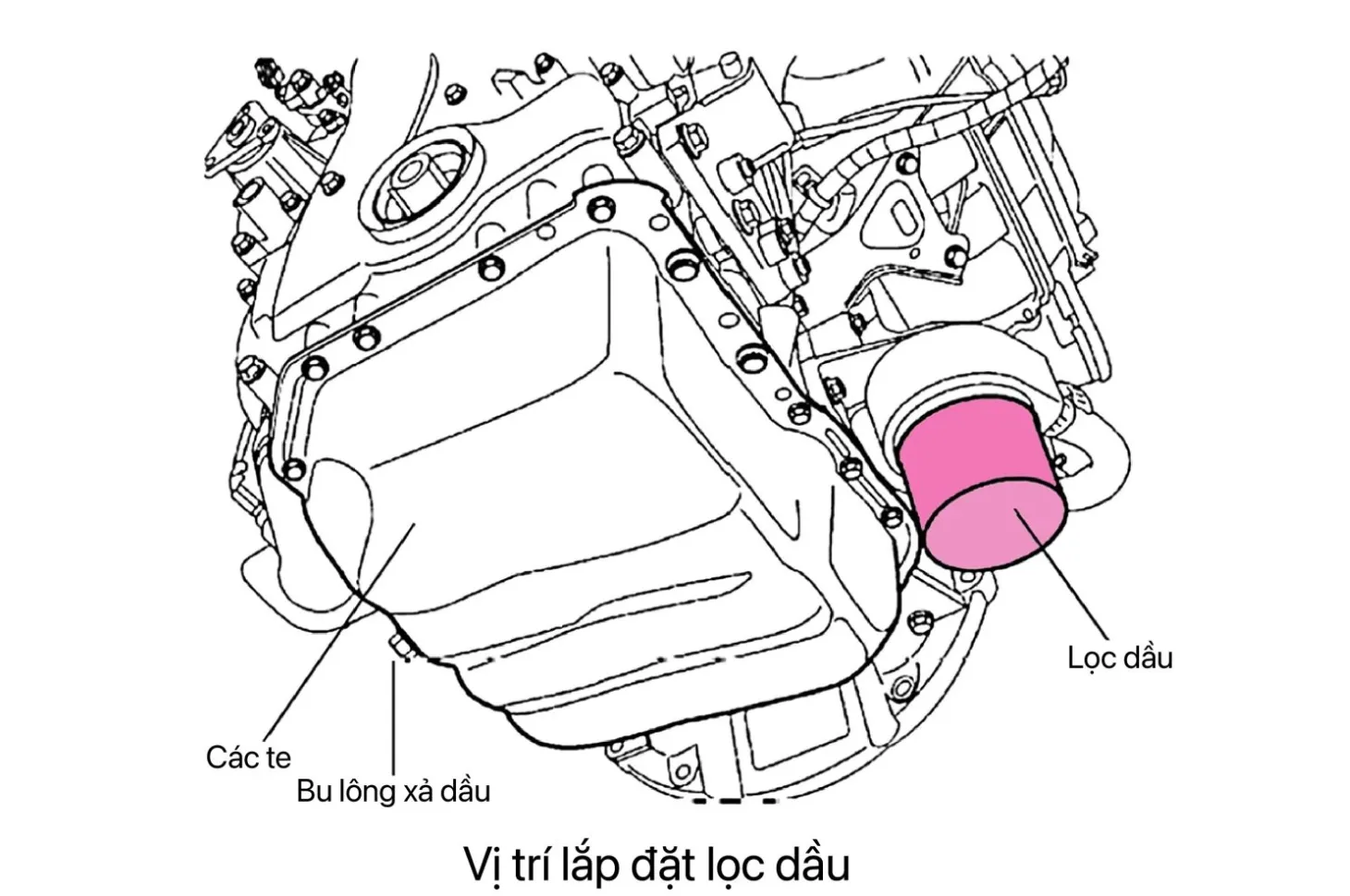 Hình ảnh minh họa vị trí của lọc dầu